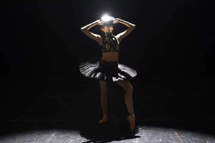 Virtual Stage Dancer Virtual Stage Dancer